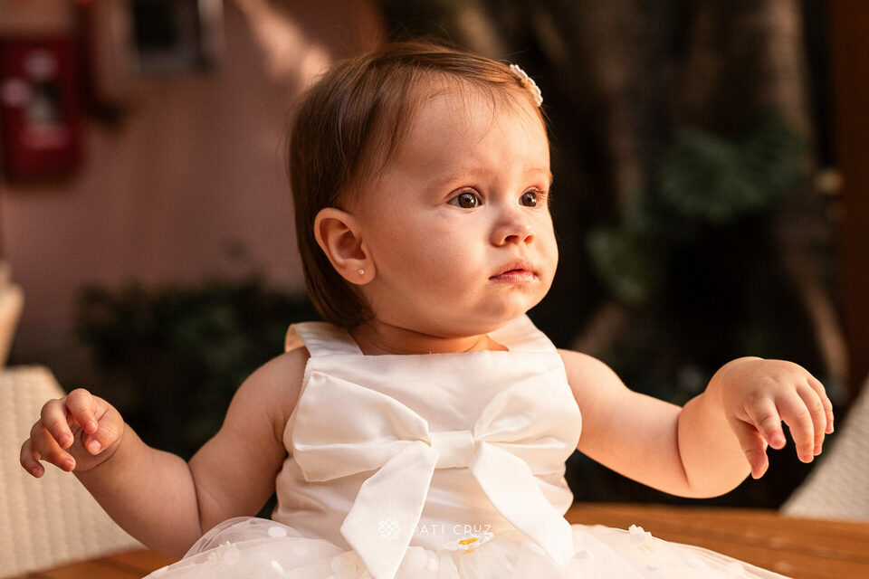 Festa de aniversário de 1 ano